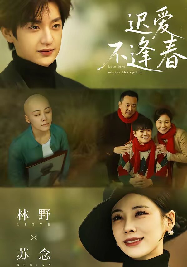 迟爱不逢春(全集)